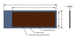 Grace Bio-Labs PATH® protein microarray slides, no barcode nitrocellulose (on glass slide), external size 25 mm × 75 mm, pack of 20 ea