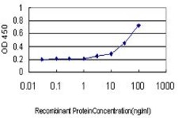 Monoclonal Anti-LGR7 antibody produced in mouse clone 3E3, purified immunoglobulin, buffered aqueous solution
