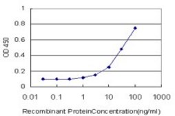 Monoclonal Anti-Siglec-8 antibody produced in mouse clone 3H1, purified immunoglobulin, buffered aqueous solution