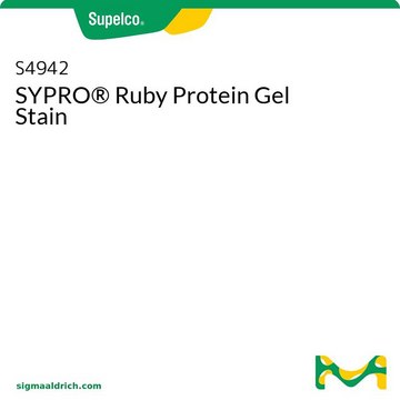 SYPRO&#174; Ruby Protein Gel Stain