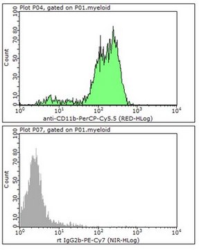 Anti-CD11b Antibody (human/mouse), PerCP-Cy5.5, clone M1/70 clone M1/70, 0.2&#160;mg/mL, from rat