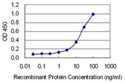 Monoclonal Anti-CUX2 antibody produced in mouse clone 2H8, purified immunoglobulin, buffered aqueous solution
