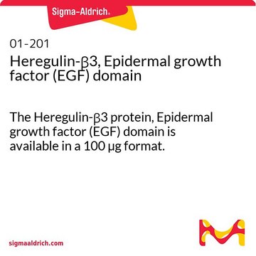 Heregulin-&#946;3, Epidermal growth factor (EGF) domain The Heregulin-&#946;3 protein, Epidermal growth factor (EGF) domain is available in a 100 &#181;g format.