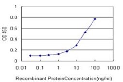 Monoclonal Anti-TMEM115 antibody produced in mouse clone 3D4, purified immunoglobulin, buffered aqueous solution