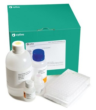 GFX&#8482; 96 PCR Purif Kit Cytiva 28-9034-45, pack of 10 × 96&#160;plates