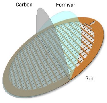 Formvar/Carbon Supported Copper Grids grid size 400&#160;mesh, box of 50