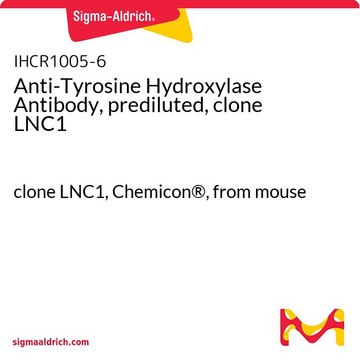 Anti-Tyrosine Hydroxylase Antibody, prediluted, clone LNC1 clone LNC1, Chemicon&#174;, from mouse