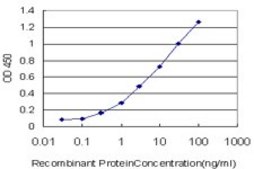 Monoclonal Anti-GRHPR antibody produced in mouse clone 4E6-1F2, purified immunoglobulin, buffered aqueous solution