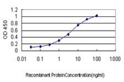 ANTI-GUCY2D antibody produced in mouse clone 7E5, purified immunoglobulin, buffered aqueous solution