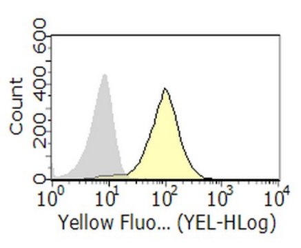 Anti-Ly108/Slamf6 Antibody, clone 3E11 clone 3E11, from rat