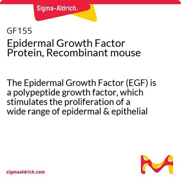 Epidermal Growth Factor Protein, Recombinant mouse The Epidermal Growth Factor (EGF) is a polypeptide growth factor, which stimulates the proliferation of a wide range of epidermal &amp; epithelial cells.