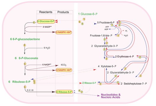 Pentose Phosphate Metabolite Library