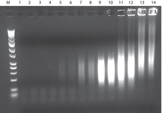 GenomePlex&#174; Complete Whole Genome Amplification (WGA) Kit Optimized kit with enzyme for amplifying a variety of DNA including FFPE tissue