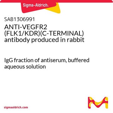 ANTI-VEGFR2 (FLK1/KDR)(C-TERMINAL) antibody produced in rabbit IgG fraction of antiserum, buffered aqueous solution