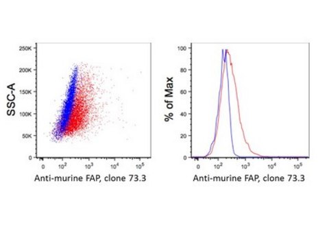 Anti-FAP Antibody, clone 73.3 clone 73.3, from mouse