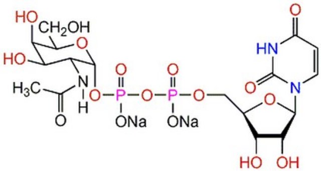 UDP-&#945;-D-N-Acetylgalactosamine, Disodium Salt Useful in synthesis of aryl azide derivatives that can be used in affinity labeling of glycosyltransferases and UDP-HexNAc pyrophosphorylase.