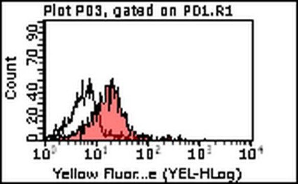 Anti-PAR-3 Antibody, clone 8E8 clone 8E8, from mouse