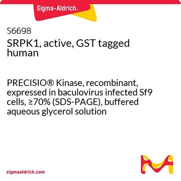 SRPK1，活性，GST 标记 人 PRECISIO&#174; Kinase, recombinant, expressed in baculovirus infected Sf9 cells, &#8805;70% (SDS-PAGE), buffered aqueous glycerol solution