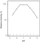 Creatininase from microorganisms lyophilized powder, 100-300 units/mg protein