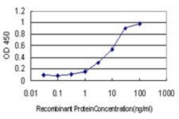 Monoclonal Anti-RIT2 antibody produced in mouse clone 3F2, purified immunoglobulin, buffered aqueous solution