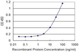 Monoclonal Anti-POLR2J antibody produced in mouse clone 1A10, purified immunoglobulin, buffered aqueous solution