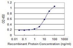 Monoclonal Anti-ASXL1 antibody produced in mouse clone 6E2, purified immunoglobulin, buffered aqueous solution