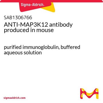 ANTI-MAP3K12 antibody produced in mouse purified immunoglobulin, buffered aqueous solution