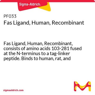 Fas Ligand, Human, Recombinant Fas Ligand, Human, Recombinant, consists of amino acids 103-281 fused at the N-terminus to a tag-linker peptide. Binds to human, rat, and mouse Fas.