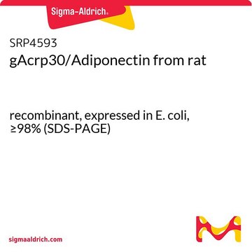 gAcrp30/Adiponectin from rat recombinant, expressed in E. coli, &#8805;98% (SDS-PAGE)