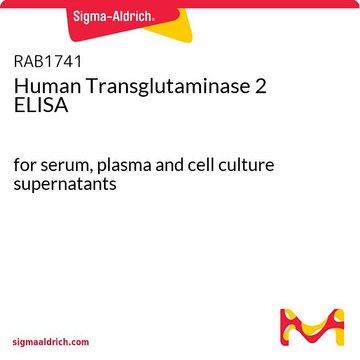 人转谷氨酰胺酶 2 ELISA for serum, plasma and cell culture supernatants