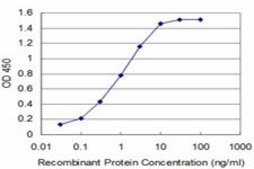 Monoclonal Anti-TLX3, (C-terminal) antibody produced in mouse clone 5B11, purified immunoglobulin, buffered aqueous solution