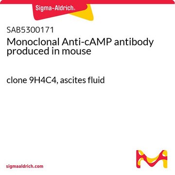 Monoclonal Anti-cAMP antibody produced in mouse clone 9H4C4, ascites fluid