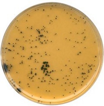 TSC Agar suitable for microbiology, NutriSelect&#174; Basic