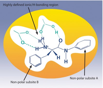 SupelMIP&#174; 固相萃取 — Beta-激动剂 bed wt. 25&#160;mg, volume 10&#160;mL , LRC, pk of 50