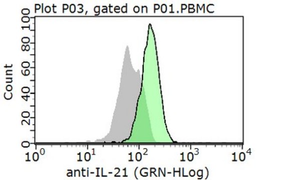 抗-IL-21抗体 from rabbit, purified by affinity chromatography