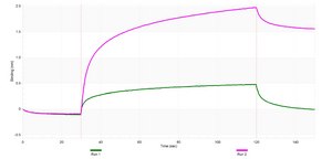 Anti-BRCC3 Antibody, clone 2M19 ZooMAb® Rabbit Monoclonal recombinant, expressed in HEK 293 cells