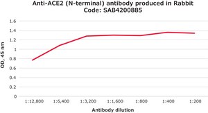 Anti-ACE2 (N-terminal) antibody produced in rabbit affinity isolated antibody, buffered aqueous solution