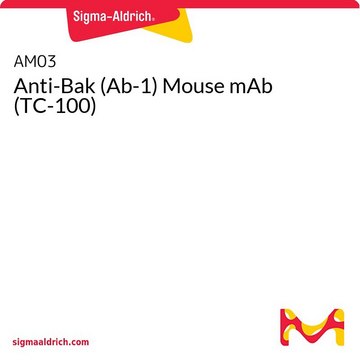 Anti-Bak (Ab-1) Mouse mAb (TC-100)