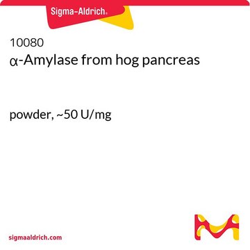 &#945;-Amylase from hog pancreas powder, ~50&#160;U/mg