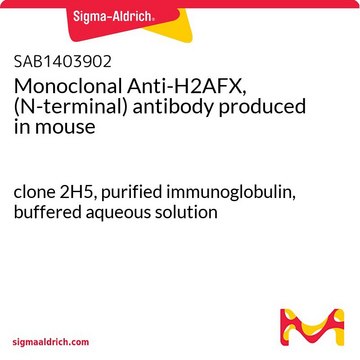 Monoclonal Anti-H2AFX, (N-terminal) antibody produced in mouse clone 2H5, purified immunoglobulin, buffered aqueous solution