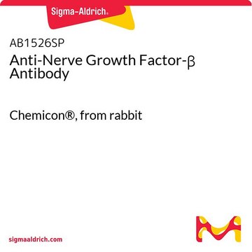 Anti-Nerve Growth Factor-&#946; Antibody Chemicon&#174;, from rabbit