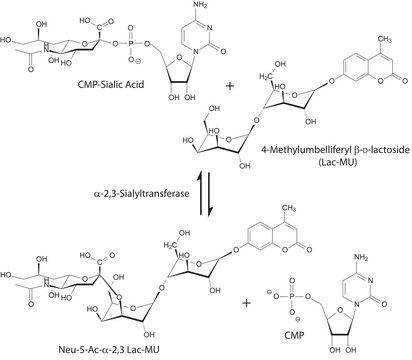 &#945;-2,3-唾液酸转移酶 来源于多杀巴斯德菌 recombinant, expressed in E. coli BL21, &#8805;2&#160;units/mg protein