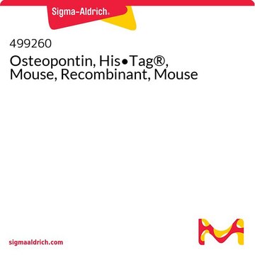 Osteopontin, His&#8226;Tag&#174;, Mouse, Recombinant, Mouse