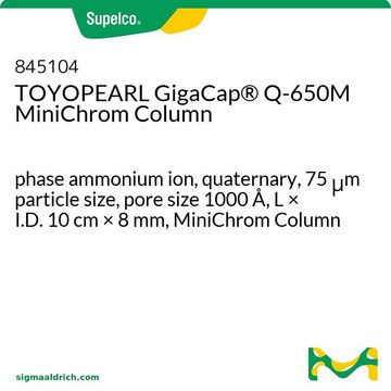 TOYOPEARL GigaCap&#174; Q-650M MiniChrom Column phase ammonium ion, quaternary, 75&#160;&#956;m particle size, pore size 1000&#160;Å, L × I.D. 10&#160;cm × 8&#160;mm, MiniChrom Column