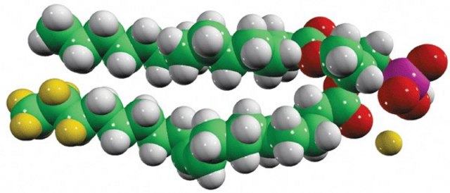 15:0-18:1-d7-PA Avanti Research&#8482; - A Croda Brand