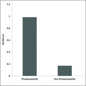 Anti-phospho-VEGFR2 (pTyr1214) antibody produced in rabbit affinity isolated antibody