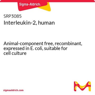 Interleukin-2, human Animal-component free, recombinant, expressed in E. coli, suitable for cell culture