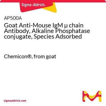 Goat Anti-Mouse IgM &#181; chain Antibody, Alkaline Phosphatase conjugate, Species Adsorbed Chemicon&#174;, from goat