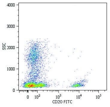 Monoclonal Anti-CD20-FITC antibody produced in mouse clone 2H7, purified immunoglobulin, buffered aqueous solution