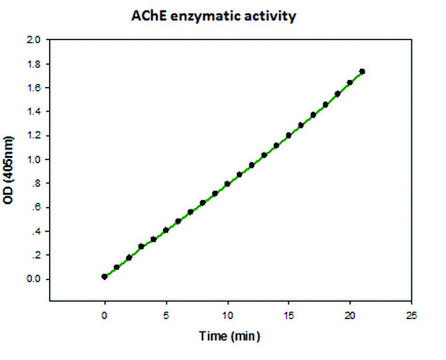 乙酰胆碱酯酶 人 recombinant, expressed in HEK 293 cells, lyophilized powder, &#8805;1,000&#160;units/mg protein (Lowry)